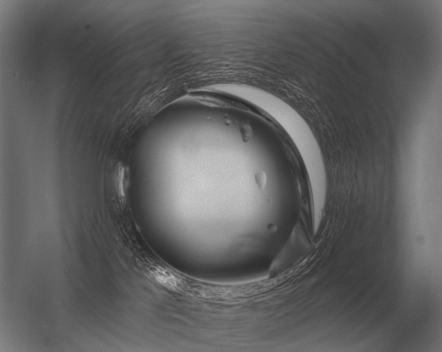 X0000056370041200509021826