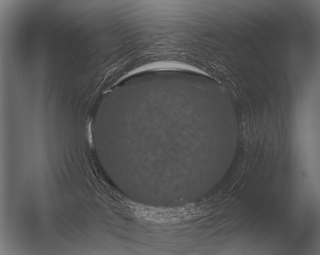 X0000056370042200509021826