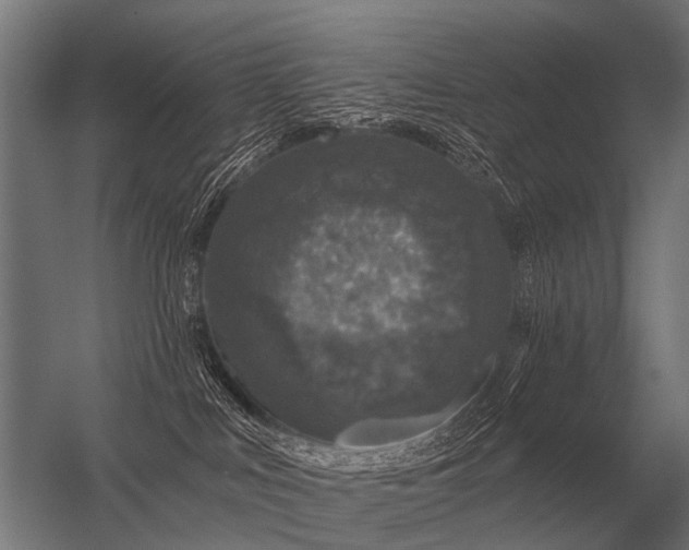 X0000056370043200509021826