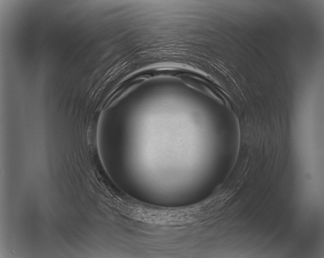 X0000056370044200509021826