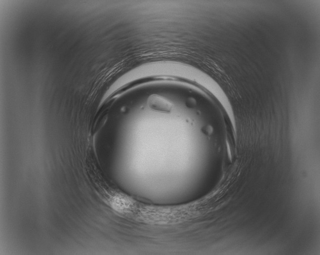 X0000056370045200509021826