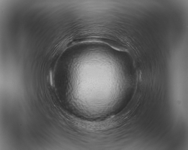 X0000056370046200509021826