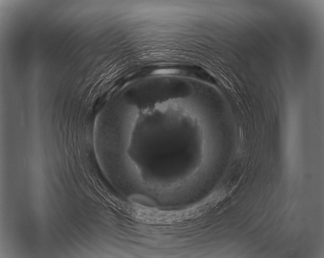 X0000056370048200509021826