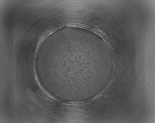 X0000056370049200509021825