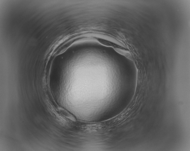 X0000056370050200509021825