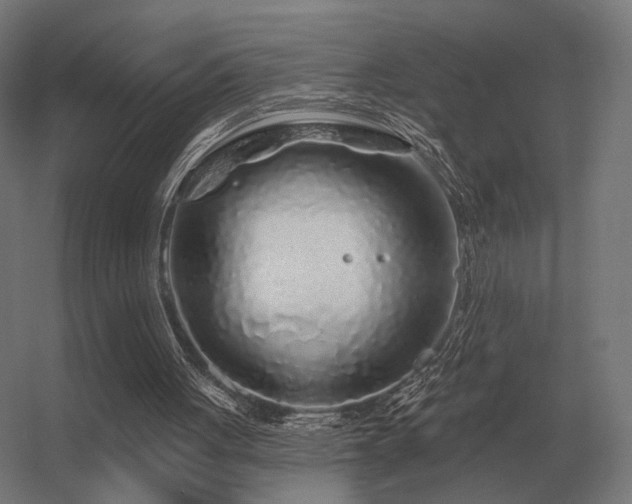 X0000056370051200509021825