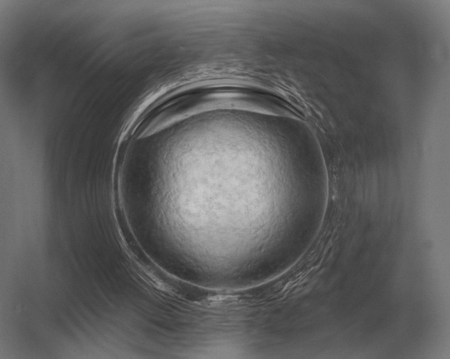 X0000056370052200509021825