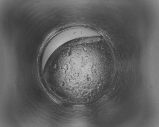 X0000056370053200509021825