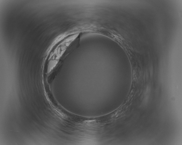 X0000056370054200509021825