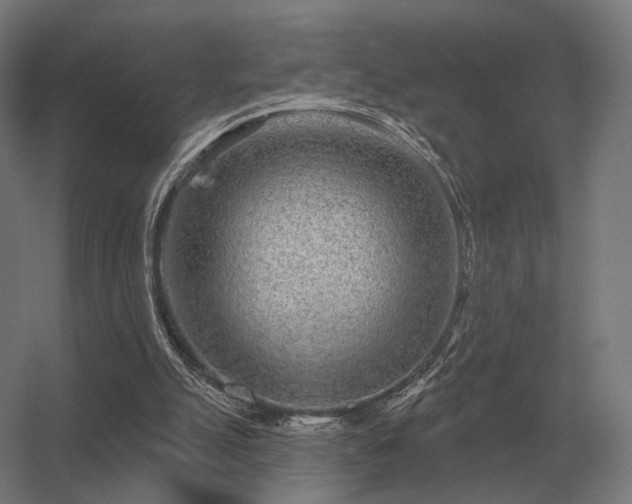 X0000056370055200509021825