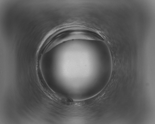 X0000056370056200509021825