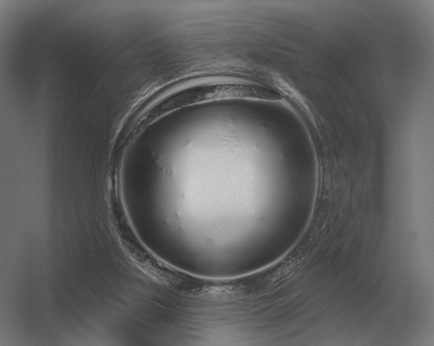 X0000056370059200509021825