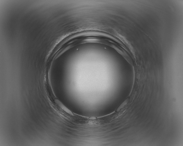 X0000056370060200509021825