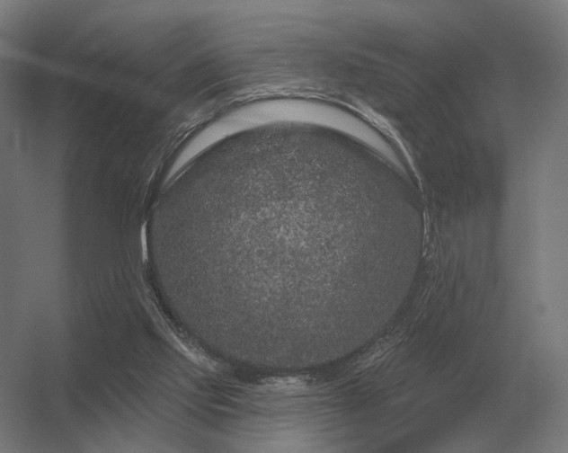 X0000056370061200509021825