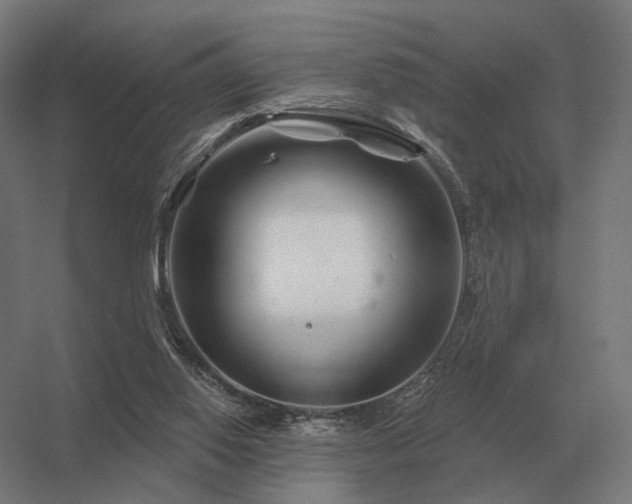 X0000056370062200509021825