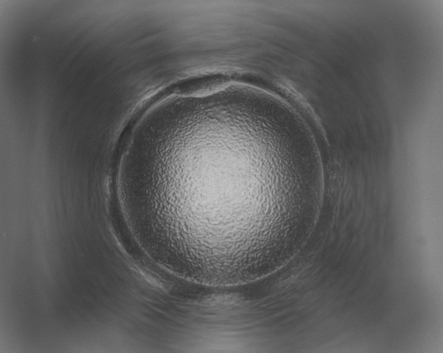 X0000056370063200509021825