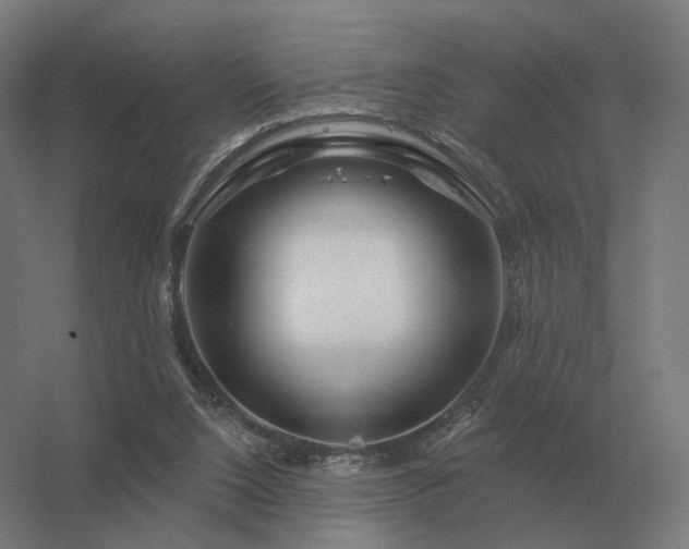 X0000056370064200509021825