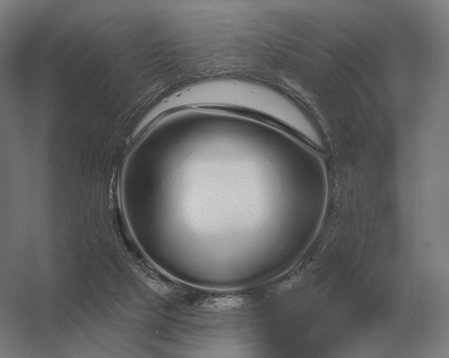 X0000056370065200509021825