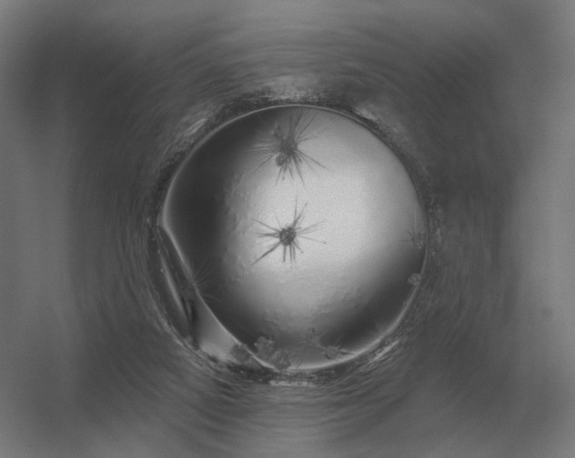 X0000056370066200509021825