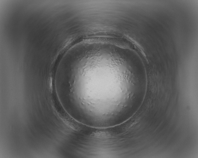 X0000056370067200509021825