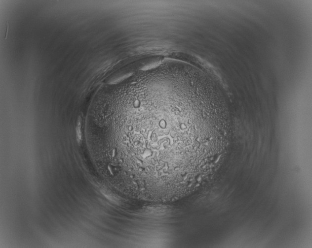 X0000056370069200509021825