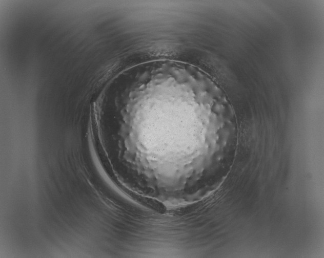 X0000056370070200509021825