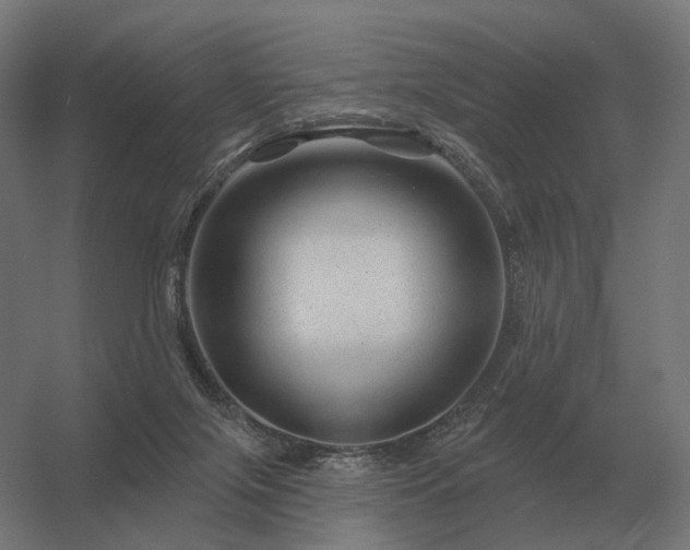 X0000056370071200509021825