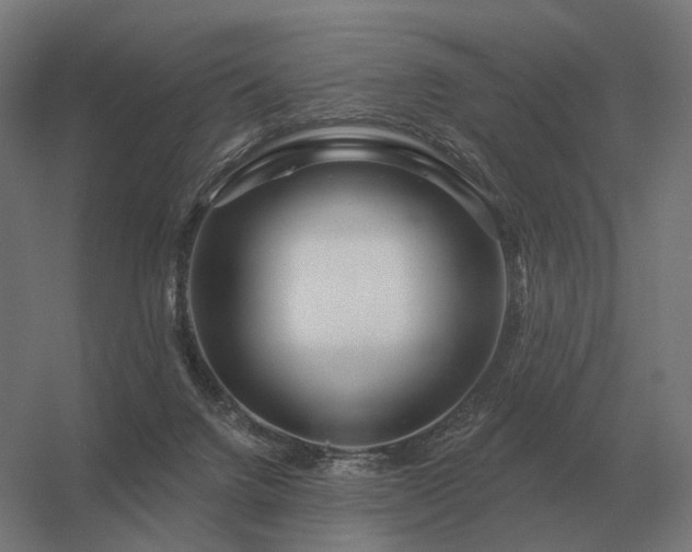 X0000056370072200509021825