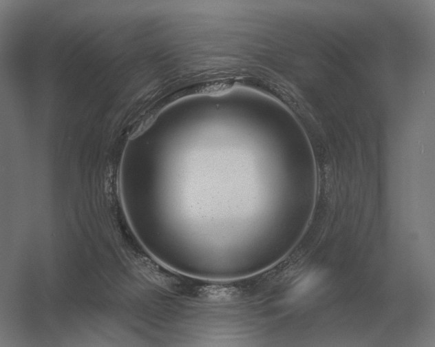 X0000056370073200509021825