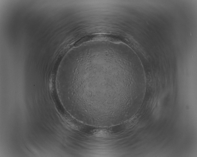 X0000056370074200509021825