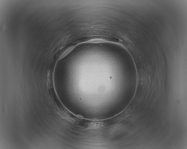 X0000056370077200509021825