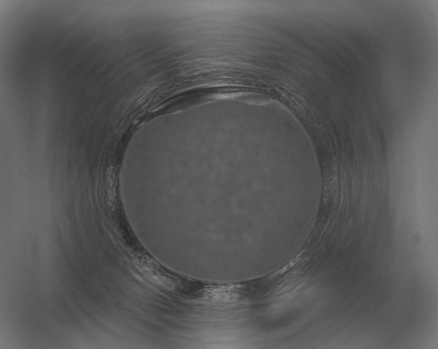 X0000056370078200509021825