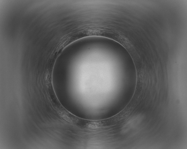 X0000056370079200509021825