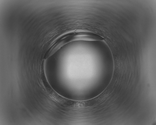 X0000056370080200509021825