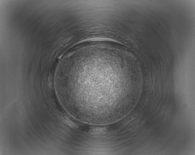 X0000056370081200509021825