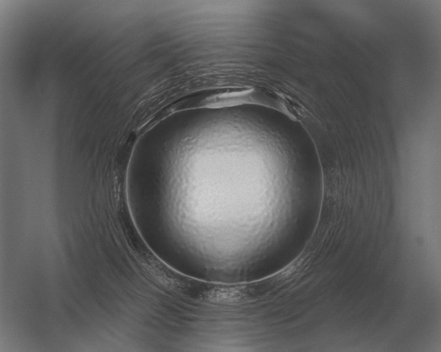 X0000056370086200509021825