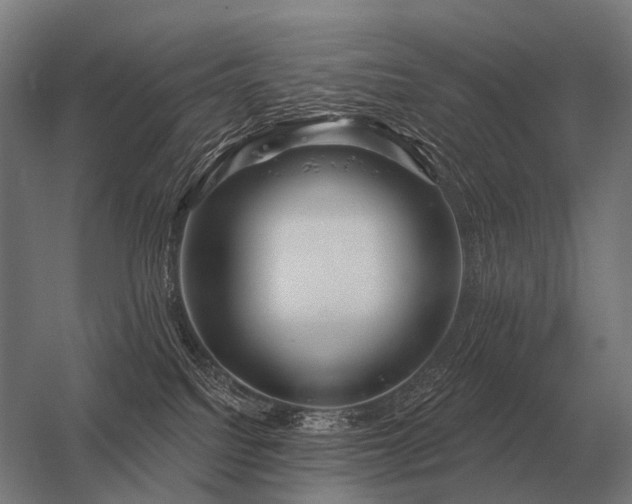 X0000056370088200509021825