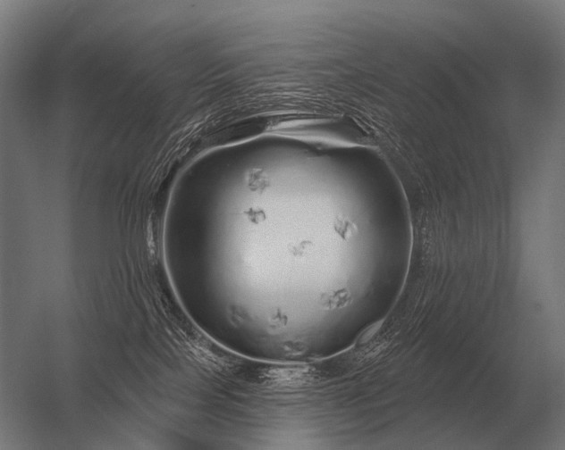 X0000056370089200509021825