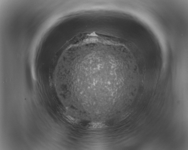 X0000056370093200509021825