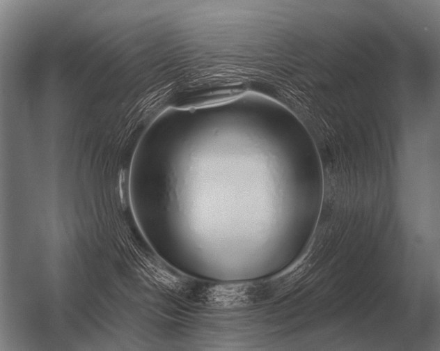 X0000056370094200509021826