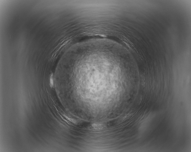 X0000056370095200509021826