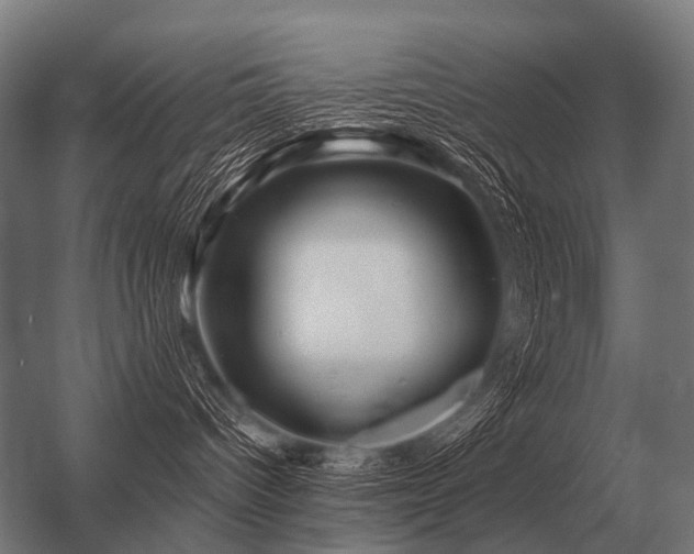 X0000056370096200509021826