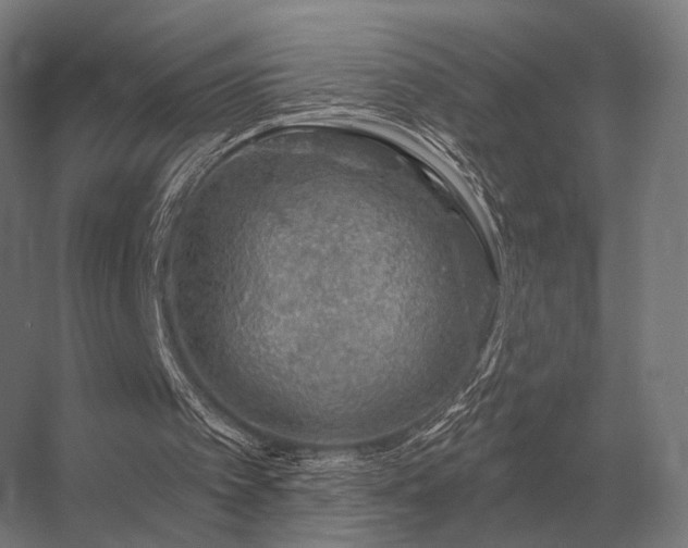 X0000056370097200509021825