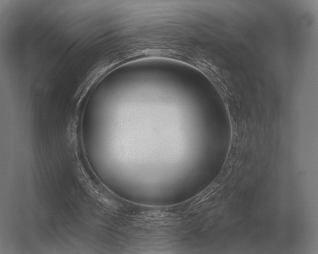 X0000056370098200509021825