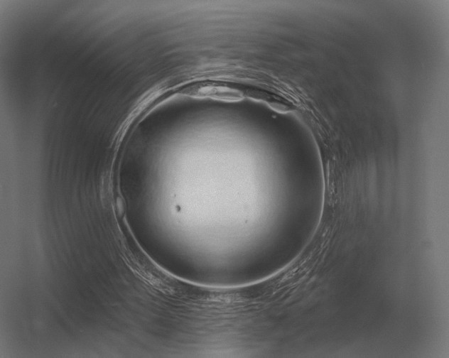 X0000056370099200509021825