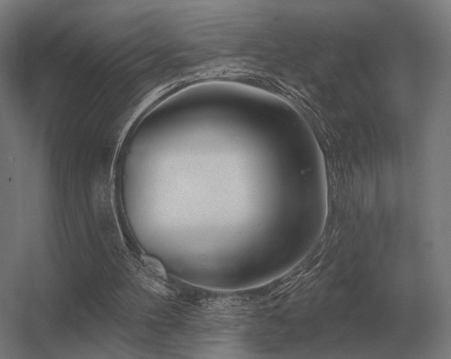 X0000056370100200509021825