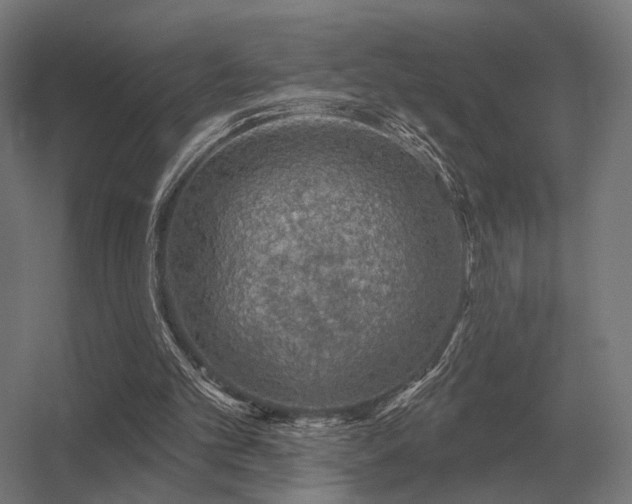 X0000056370101200509021825