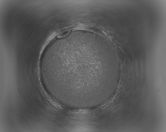 X0000056370102200509021825