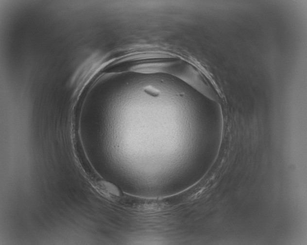 X0000056370103200509021825