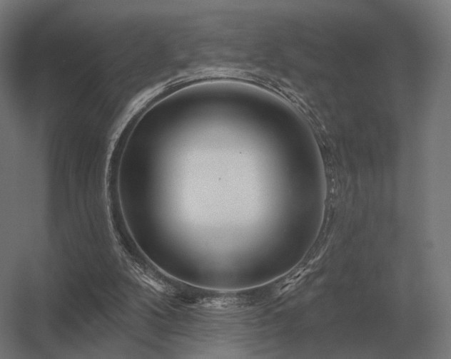 X0000056370104200509021825